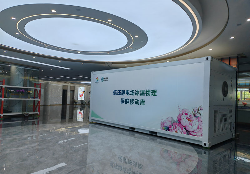 动态